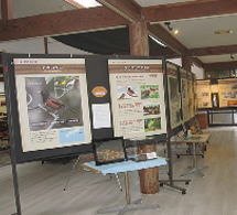 三宅島のご飯処